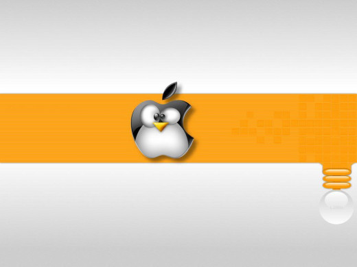 381973 (a): :1024x768
